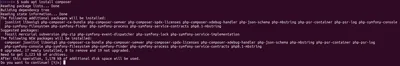 Screenshot showing prompt